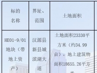 雅安汉源县新县城HE01-9/01地块拍卖出让